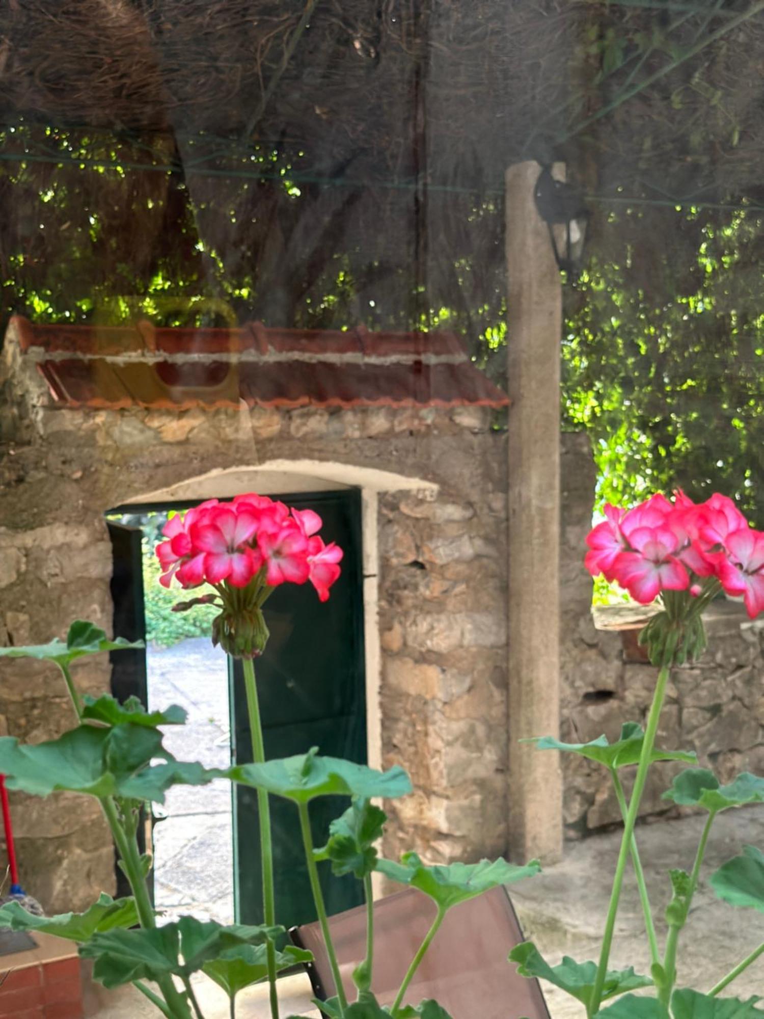 Etno Village Mihailovic Herceg Novi Exterior photo